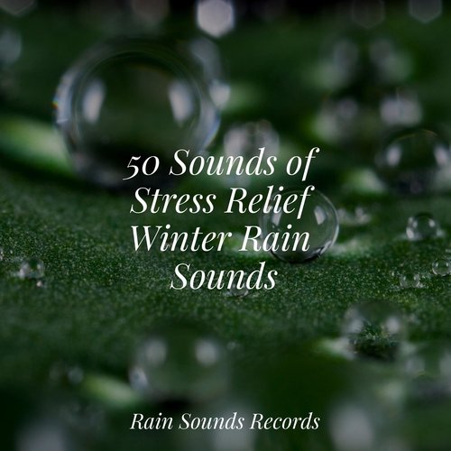 50 Sounds of Stress Relief Winter Rain Sounds