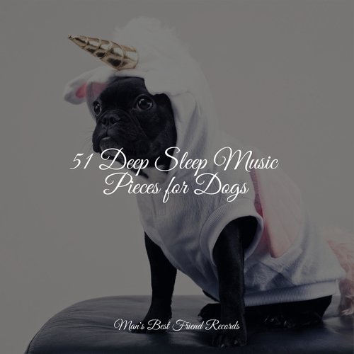 51 Deep Sleep Music Pieces for Dogs