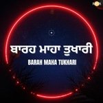 Barah Maha Tukhari