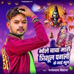 Bhole Baba Mari Trishul Pagali Ke Jai Bhul