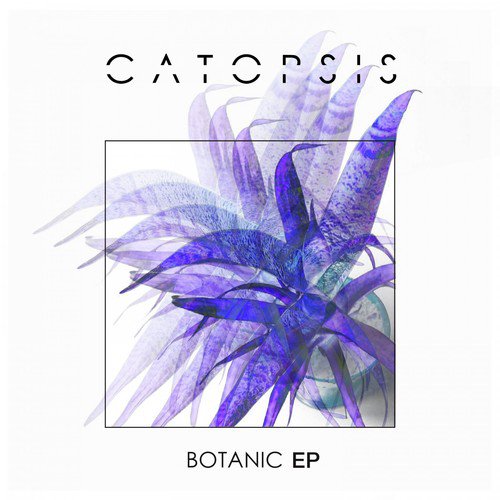 Frontside cover art
