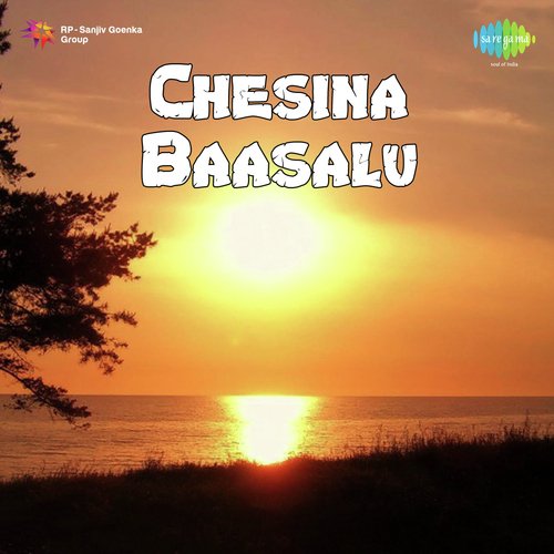 Chesina Baashalu