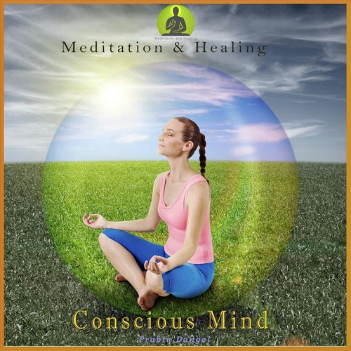 Conscious Mind