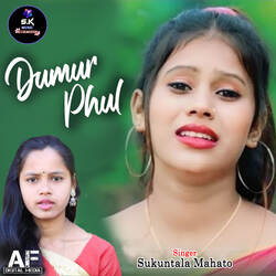 Dumur Phul-MS48AiVmWF4