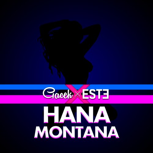 HANA MONTANA_poster_image