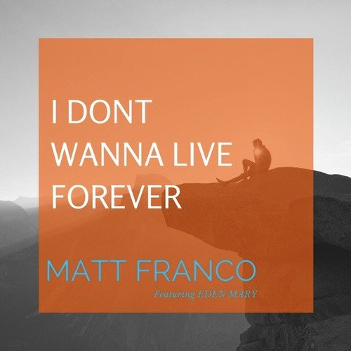 I Don't Wanna Live Forever_poster_image