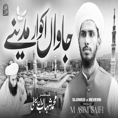 Jawan Ik Var Madine (Lofi-Mix)