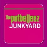 Junkyard (Radio Edit)