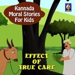 Effect of True Care