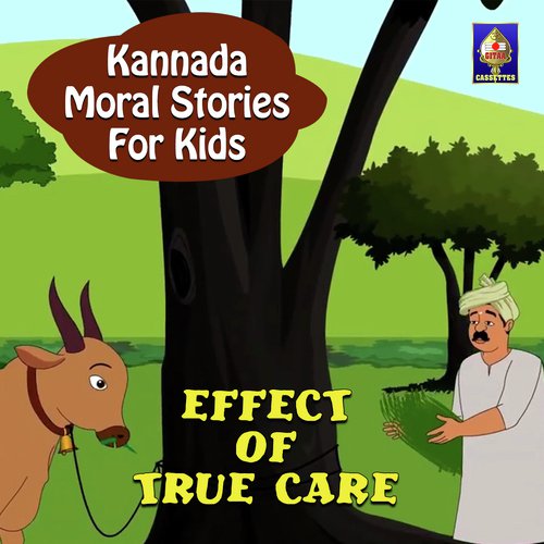 Effect of True Care