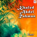 Khaled Abdel Rahman