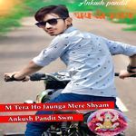 M Tera Ho Jaunga Mere Shyam