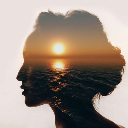 Moments of Quiet Reflection and Harmony