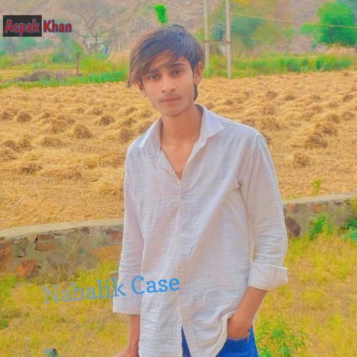 Nabalik Case