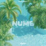 Numb (Afro House) artwork