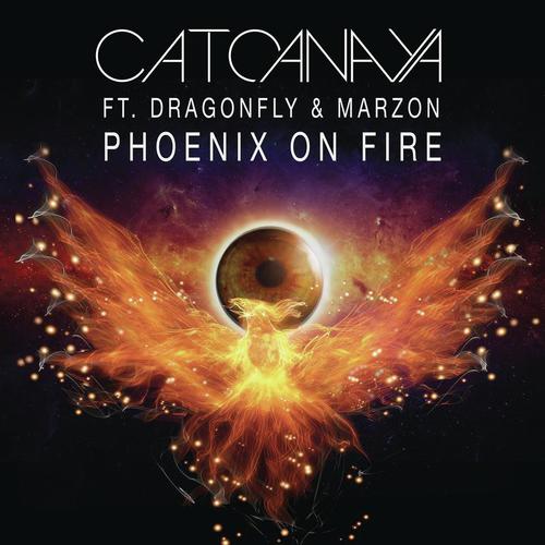 Phoenix On Fire (Radio Edit)_poster_image