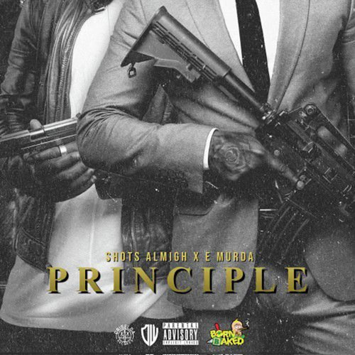 Principle