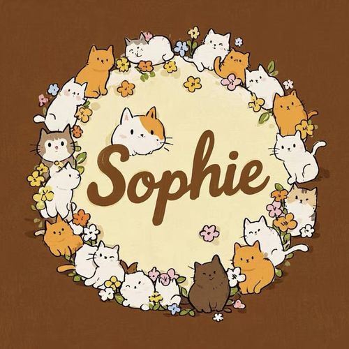 一路(Sophie) cover art