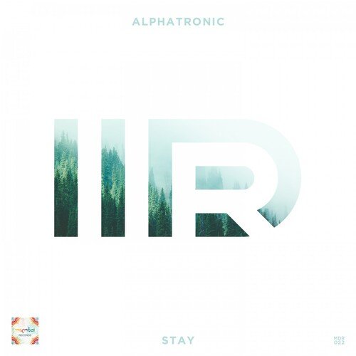 Stay (Blackrays Remix) cover art