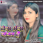 Tera Mera Sangam Hai