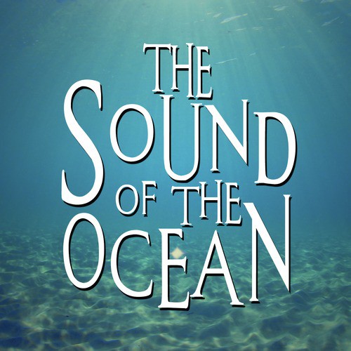 The Sound of the Ocean