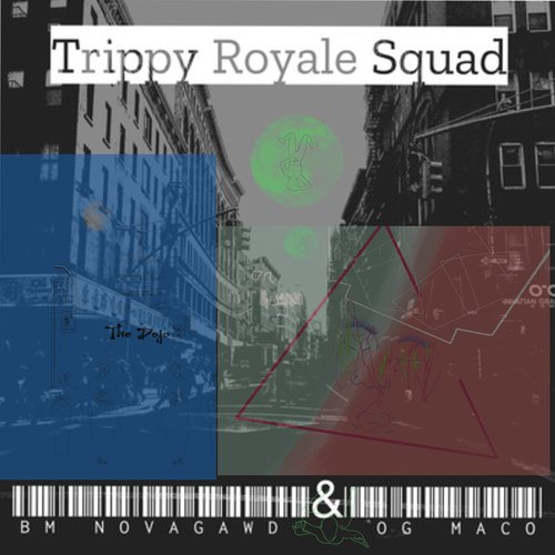 Trippy Royale Squad_poster_image