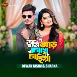 Tumi Ar Chokhe Chahiya