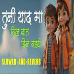 Tuni Yaad Ma Dil Rat Din Radaye (Slowed And Reverb)