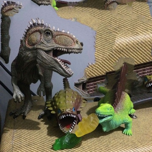 Zebra Boy cover art