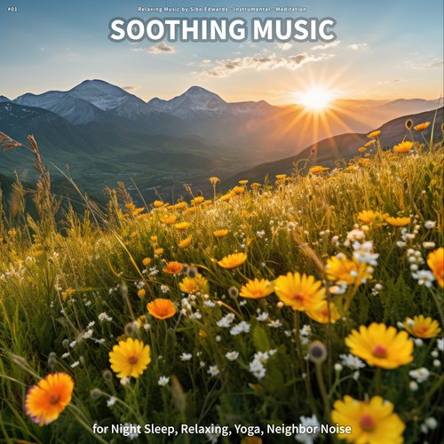 Relaxing Music for Stress Relief cover art