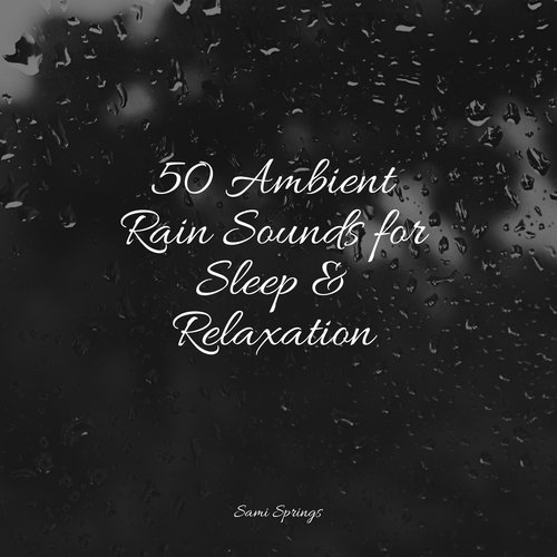 50 Ambient Rain Sounds for Sleep & Relaxation