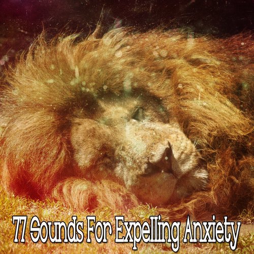 77 Sounds For Expelling Anxiety