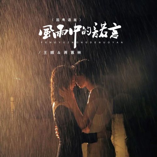 风雨中的诺言 (国粤语版)_poster_image