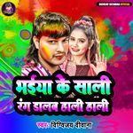 Bhaiya Ke Sali Rang Dalab Hali Hali