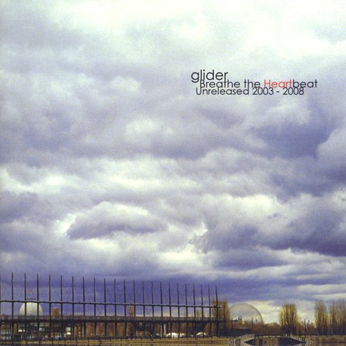Gulls cover art