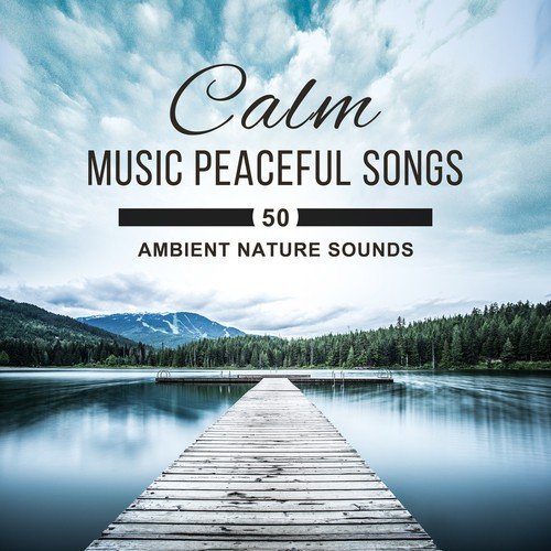 Calm Music Peaceful Songs (50 Ambient Nature Sounds, Healing Yoga, Relax, Meditation Music, Stress Reduction & Inner Peace)