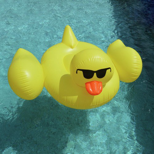 Canard cover art