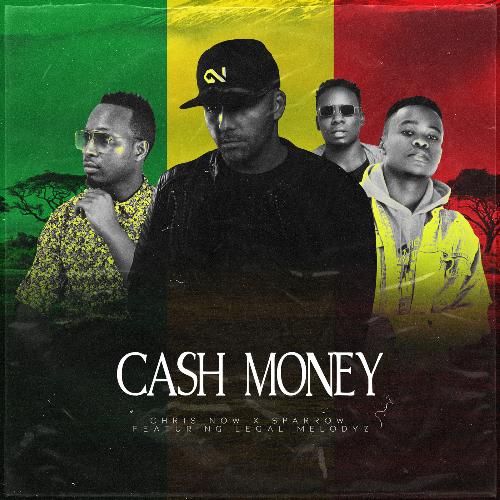 Cash Money_poster_image