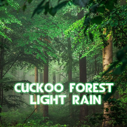 Cuckoo Forest Light Rain (feat. Forest Sounds, Rain Power & Rain Sound)_poster_image