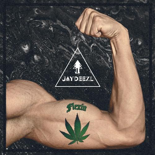 Flexin cover art