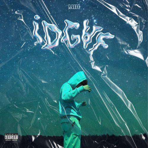 NELSON cover art