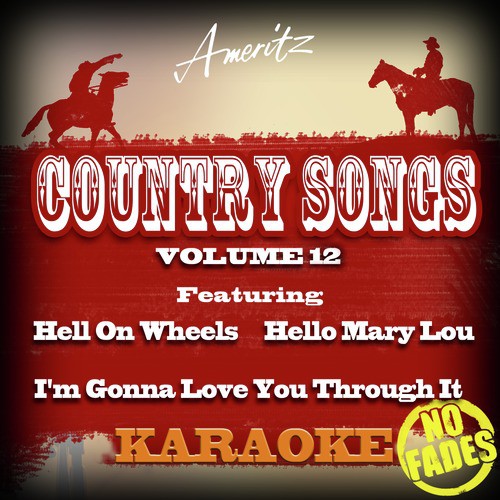 Karaoke - Country Songs Vol. 12