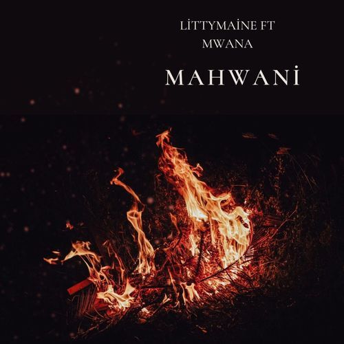 Mahwani (feat. Mwana)