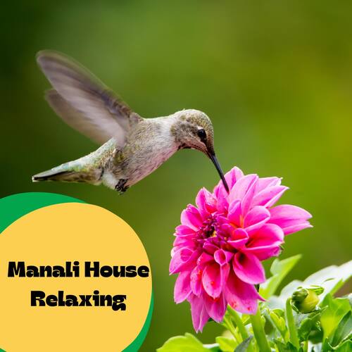 Manali House Relaxing