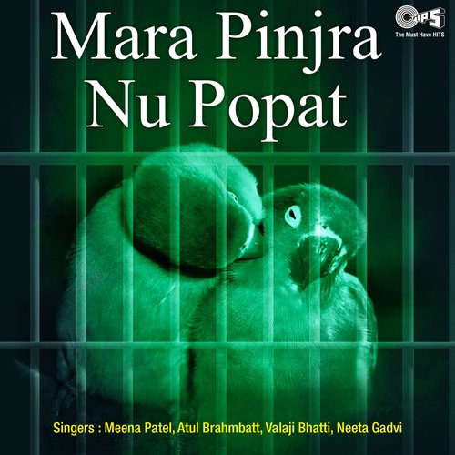 Mara Pinjra Nu Popat_poster_image