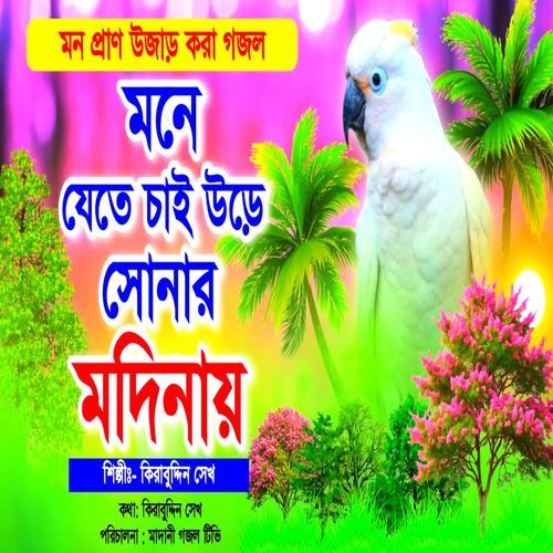 Mone Jete Chai Ure Sonar Modinay