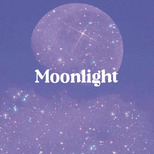 MoonChild (Slowed + Reverb) - Song Download from She's Still