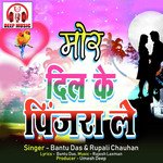 Mor Dil Ke Pinjra Le