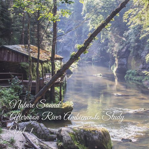 Binaural Serenity Mind cover art