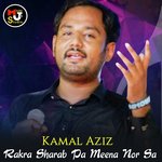 Rakra Sharab Pa Meena Nor Sa